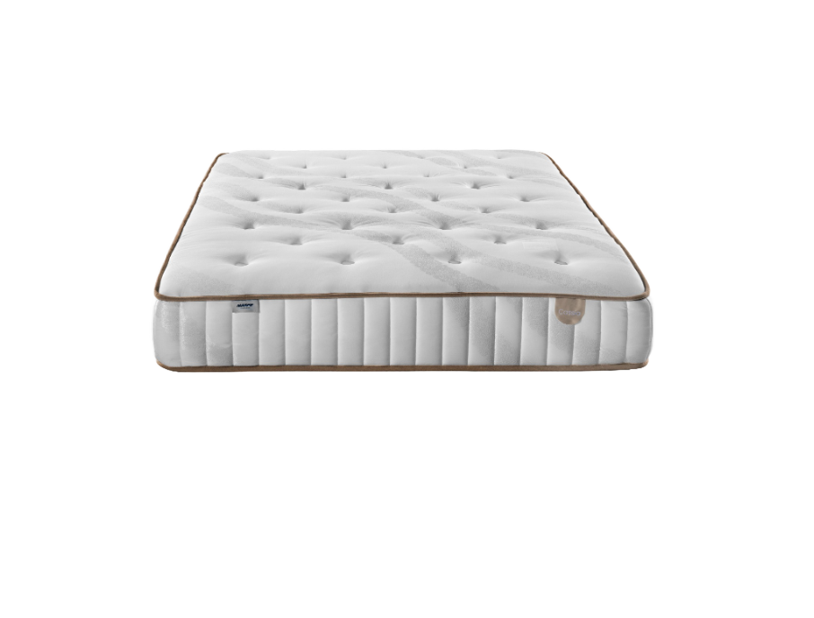 CASSIA1_no_bg_3u442ok0