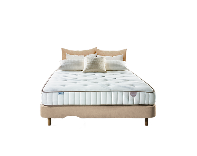 cassia2_no_bg_9bk1hztx