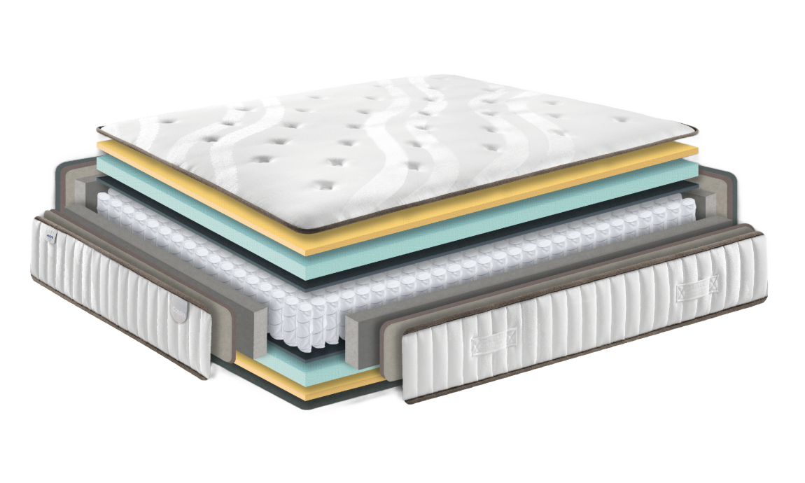 cassia3_no_bg_tjq41p53